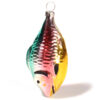 Fish colorful