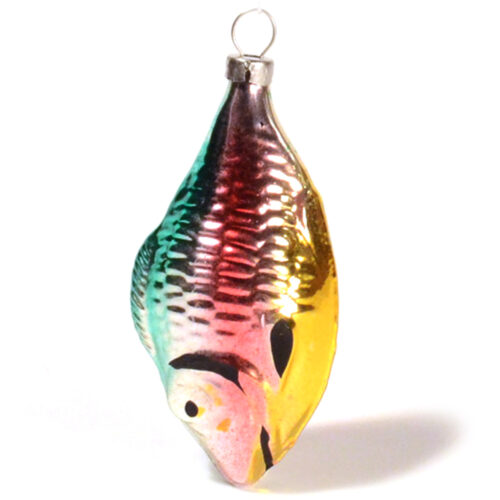 Fisch Bunt