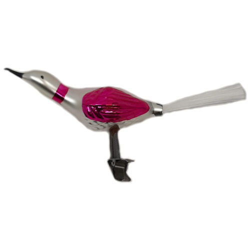 Glasvogel Gans