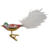 Glasvogel mit Federschwanz