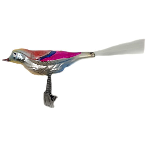 Glasvogel mit kurzem Schnabel