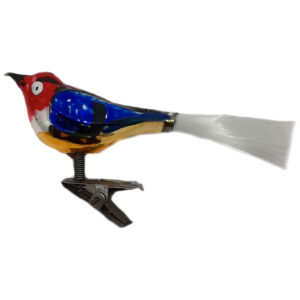 Glasvogel mit langem Schnabel