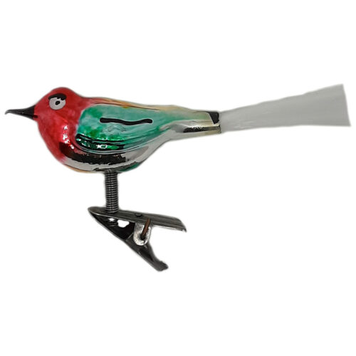 Glasvogel mit kurzem Schnabel