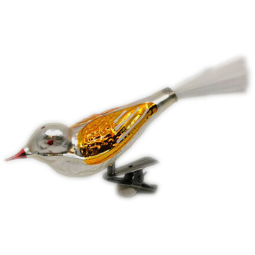 Glasvogel mit kurzem Schnabel