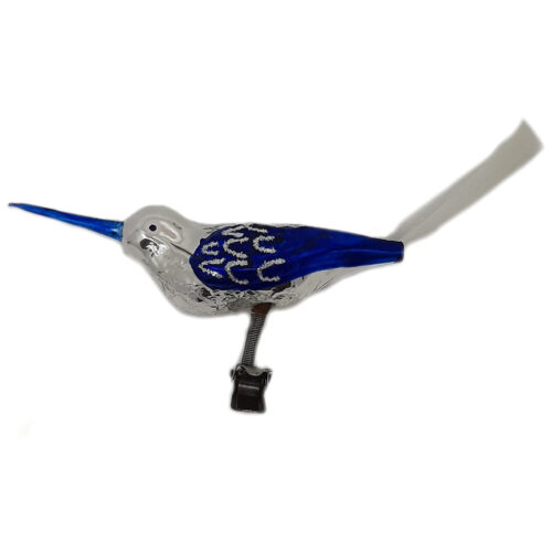 Glasvogel mit langem Schnabel