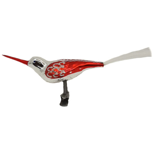 Glasvogel mit langem Schnabel