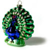 Pfau Blau