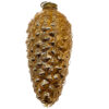Pine cone