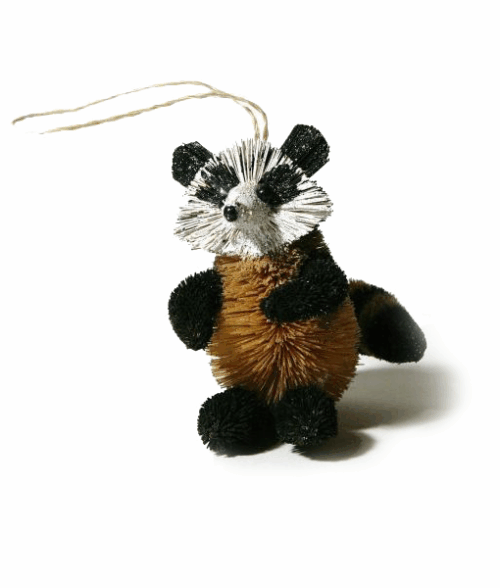 Waschbär