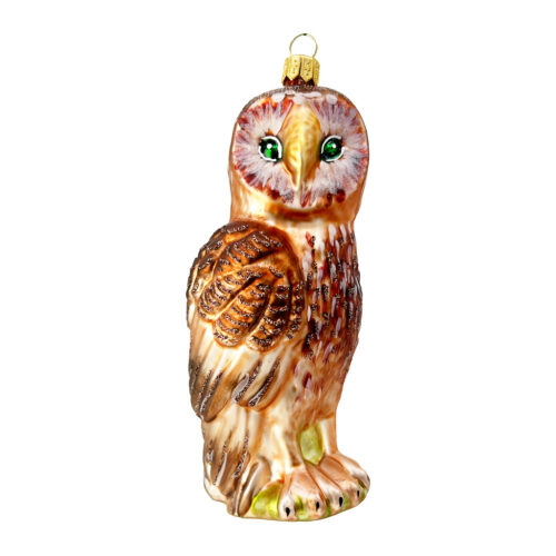Owl