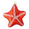 Starfish orange