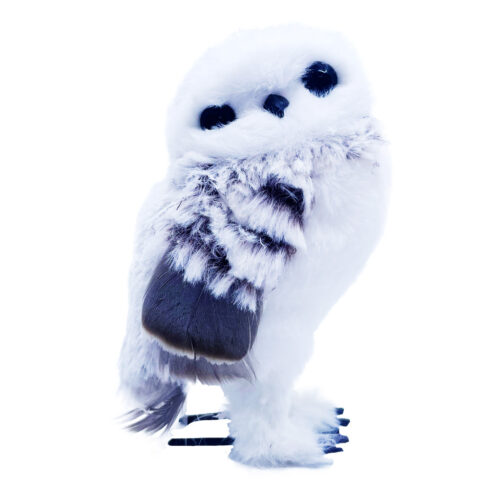 large owl standing (Kopie)