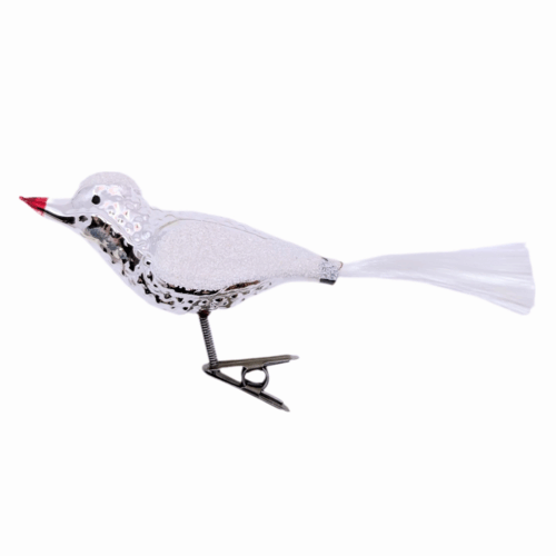 Glasvogel mit rotem Schnabel