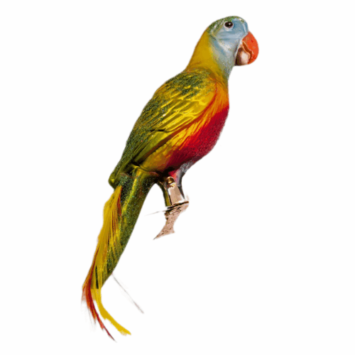 Christmas Ornament Parrot Green