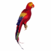 Christmas Ornament Parrot Red