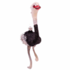Weihnachtsschmuck Vogel Strauss